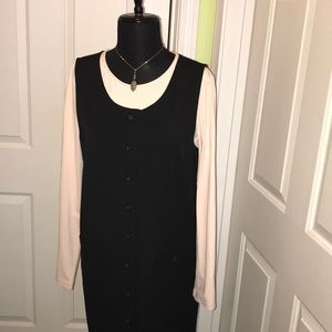 Talbots sleeveless, button down dress.